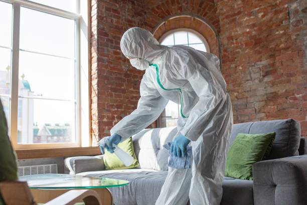 Why You Should Choose Our Mold Remediation Services in Hardinsburg, KY